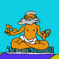 Swami - he' sthe man!